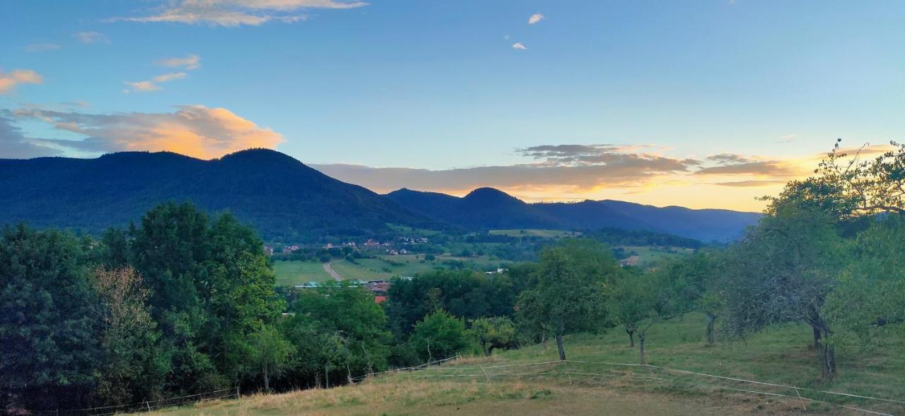 Sauna Spa La Bellevue Triembach-au-Val Zewnętrze zdjęcie